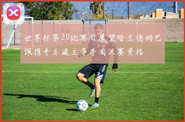 世界杯第20比赛日展望哈兰德姆巴佩携手东道主争夺淘汰赛资格